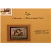 Image 2 : 1999 Colorado-Blue-winged Teal Waterfowl $5.00 Stamp. Mint Condition with literature, unsigned.