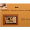 Image 2 : 1999 Connecticut-Canada Goose with Bufflehead Waterfowl $5.00 Stamp. Mint Condition with literature,