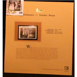 1999 Delaware-Tundra Swan with Bufflehead Waterfowl $6.00 Stamp. Mint Condition with literature, uns