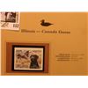 Image 2 : 1999 Illinois-Canada Goose Waterfowl $10.00 Stamp. Mint Condition with literature, unsigned.
