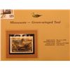 Image 2 : 1999 Minnesota-Green-winged Teal Waterfowl $5.00 Stamp. Mint Condition with literature, unsigned.