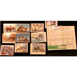 Star Shinefelt of Bloomfield's 1991 Resident Hunting License; 1977, 78, 79, 80, 81, 82, 84, & 85 Min