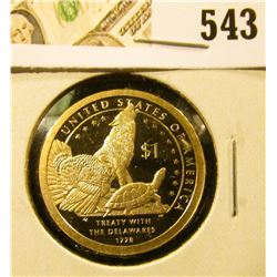 2013-S PROOF Native American Dollar, value $10