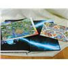 Image 6 : THE OFFICIAL POKEMON UNOVA STRATEGY GUIDE VOL. 1
