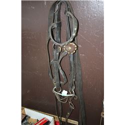 Bridle with a Straight Snaffle Bit