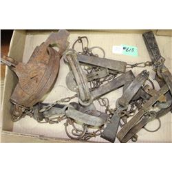 Flat of Animal Traps