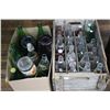 Image 1 : Orange Crush Shell with Bottles & a Box with Pop Bottles