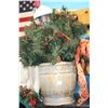 Image 1 : Lighted Christmas Decoration in a Planter