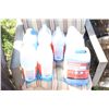 Image 1 : Several Jugs of Windshield Washer
