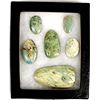 Image 1 : 6 Nevada Turquoise Cabochons
