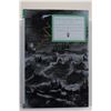 Image 2 : Viele: The Florida Keys Volumes 1 to 3