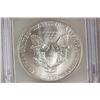 Image 2 : 2001 AMERICAN SILVER EAGLE ICG MS69