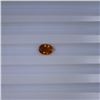 Image 2 : 1.04 ct yellow tourmaline oval cut