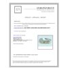Image 3 : 14K WHITE GOLD RING 4.68GRAM  DIAMOND RD 0.52CT