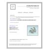Image 3 : 14K WHITE GOLD RING 15GRAM  DIAMOND RD 0.62CT