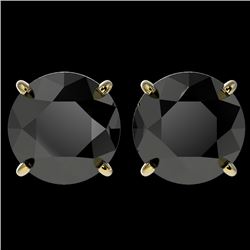 4.19 CTW Fancy Black VS Diamond Solitaire Stud Earrings 10K Yellow Gold - REF-82M6H - 36713