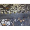 Image 2 : Lenox Bandsaw Blade, 15ft Long, 1-3/8" Tall, .05" Thick