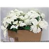 Image 1 : 4 WHITE POINSETTIA ARTIFICIAL  PLANTS
