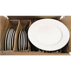 8.25" REGULAR PLATES - LOT OF 24