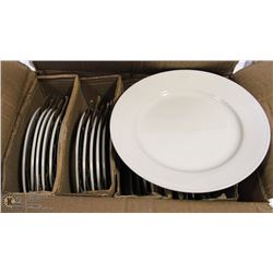 8.25" REGULAR PLATES - LOT OF 24