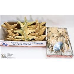 LARGE BOX WITH SEASHELLS AND STARFISH DECOR