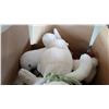 Image 2 : 2 BOXES OF STUFFED ANIMALS