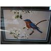 Image 2 : TWO LIMITED EDITION BIRD PRINTS