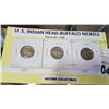Image 2 : CARD OF THREE US INDIAN HEAD BUFFALO NICKELS