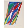 Image 1 : Piero D'Orazio, Untitled 3, Silkscreen