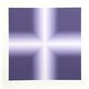 Image 1 : Babe Shapiro, Purple v. 1, Silkscreen