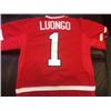 Image 1 : ROBERTO LUONGO TEAM CANADA OLYMPIC SIGNED JERSEY