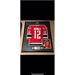 BEAUTIFULLY FRAMED AUTOGRAPHED JEROME IGINLA OLYMPICS JERSEY.  CERTIFICATE OF AUTHENTICATION.