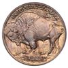 Image 3 : 1913-D Buffalo Type 1 Nickel PCGS MS64
