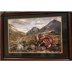 "The Final Tribute" Framed and Matted Photograph