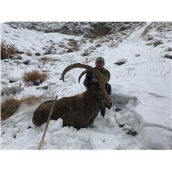 Seven Day Mid-Asian Ibex hunt in Tajikistan