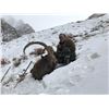 Image 2 : Seven Day Mid-Asian Ibex hunt in Tajikistan