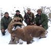 Image 3 : Seven Day Mid-Asian Ibex hunt in Tajikistan