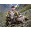 Image 2 : Kamchatka or Koryak Snow Sheep Hunt in Russia
