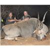 Image 1 : Namibia Six Day Trophy Eland Tracking Hunt