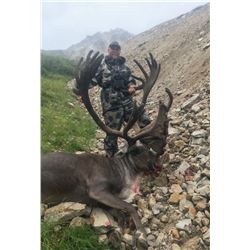Central Alaska Range Caribou Special Permit (DC827)