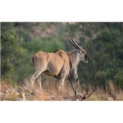 Namibia: Ten Day Plains Game Safari