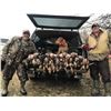 Image 4 : 1 Day duck/goose hunt in  Manitoba for 3 hunters