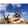 Image 10 : 5 day South African Springbok Hunt  And Cape Town Tour