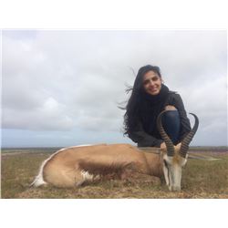 5 day South African Springbok Hunt  And Cape Town Tour