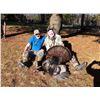 Image 1 : Eastern Turkey Hunt for 2  Hunters in Southern Ontario