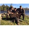 Image 4 : Eastern Turkey Hunt for 2  Hunters in Southern Ontario