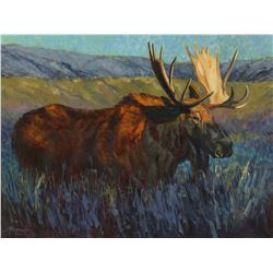 SCI 2019 Conservation  Artist Of The Year Framed Print