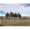 Image 12 : 3 DAY Alberta Duck and  Goose Hunt for 6