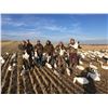 Image 2 : 3 DAY Alberta Duck and  Goose Hunt for 6