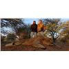 Image 2 : 14 Day South African  Lioness Hunt